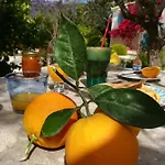 Lemon Tree Finikounta