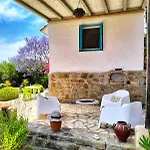 Lemon Tree * Finikounta