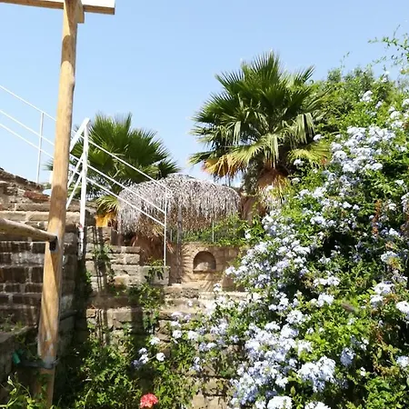 Lemon Tree Holiday home