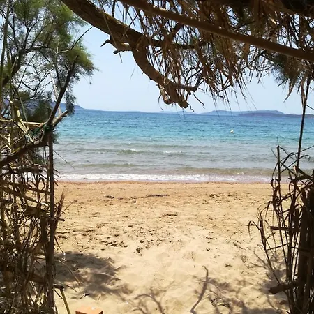 Lemon Tree Finikounta