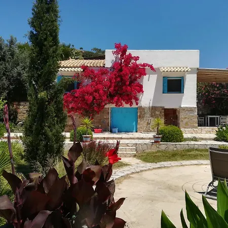 Lemon Tree Finikounta