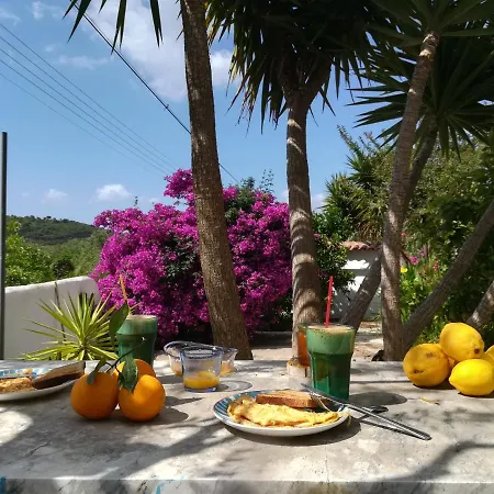 Lemon Tree * Finikounta