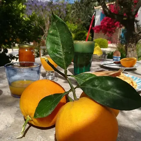 Lemon Tree Foinikounda