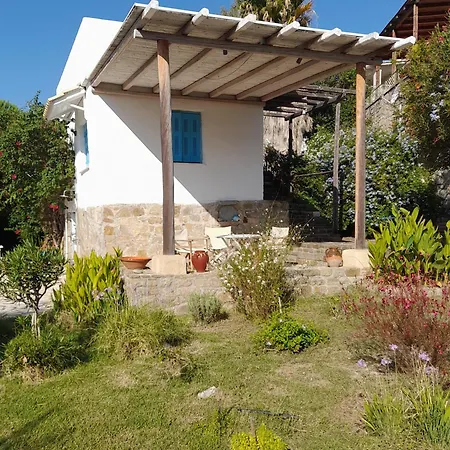 Lemon Tree Holiday home *