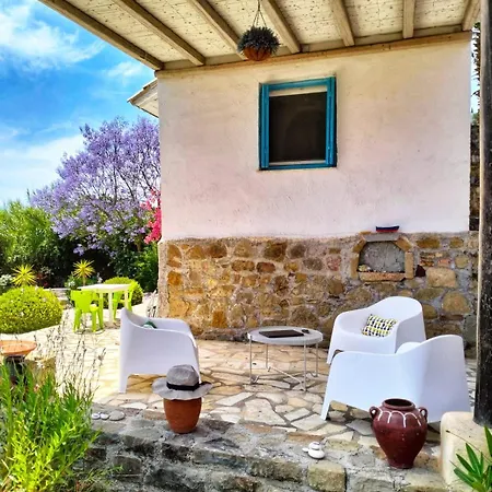 Lemon Tree * Finikounta