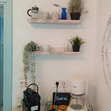 Lemon Tree * Foinikounda