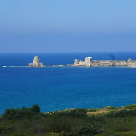 Lemon Tree * Foinikounda