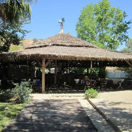 Lemon Tree * Finikounta