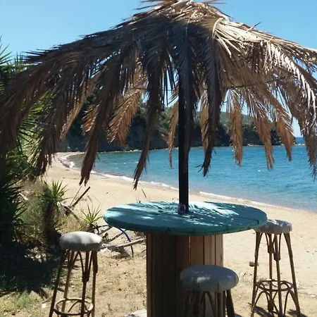 Lemon Tree * Finikounta