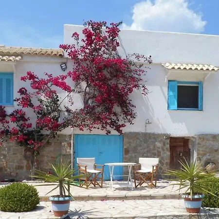 Lemon Tree Finikounta