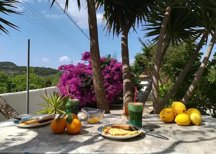 Lemon Tree * Φοινικούντα