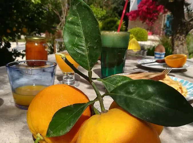 Lemon Tree Φοινικούντα