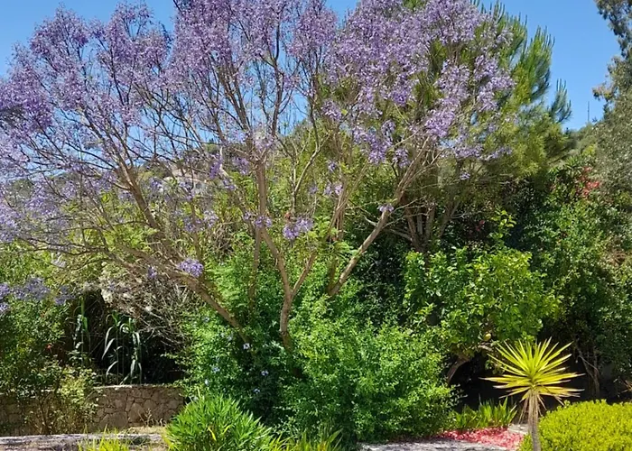 Σπίτι διακοπών Lemon Tree