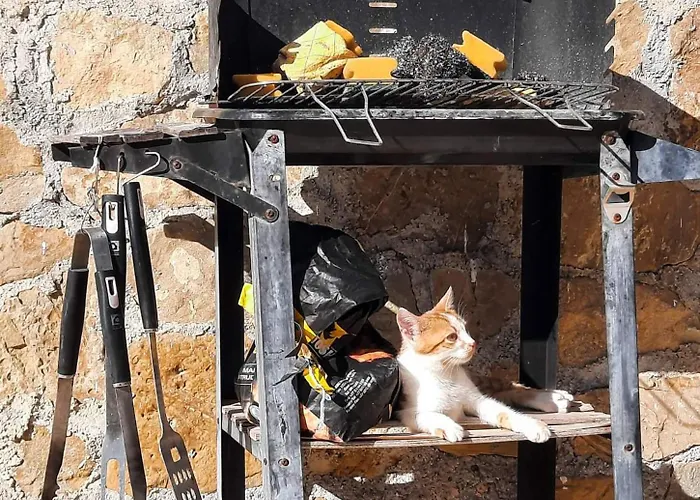 Σπίτι διακοπών Lemon Tree Φοινικούντα