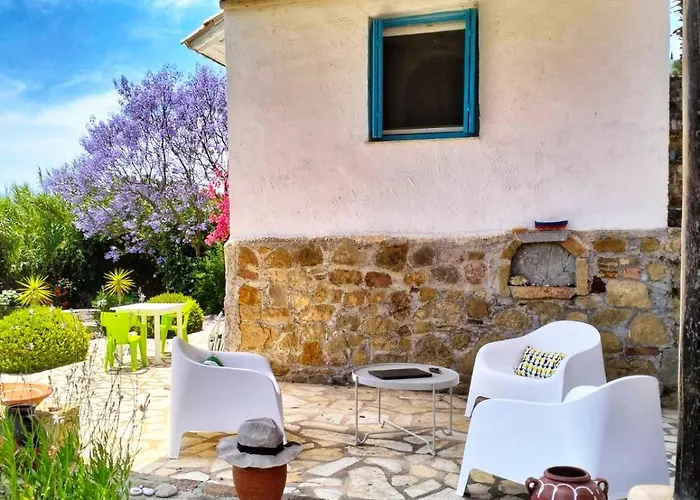 Lemon Tree * Φοινικούντα